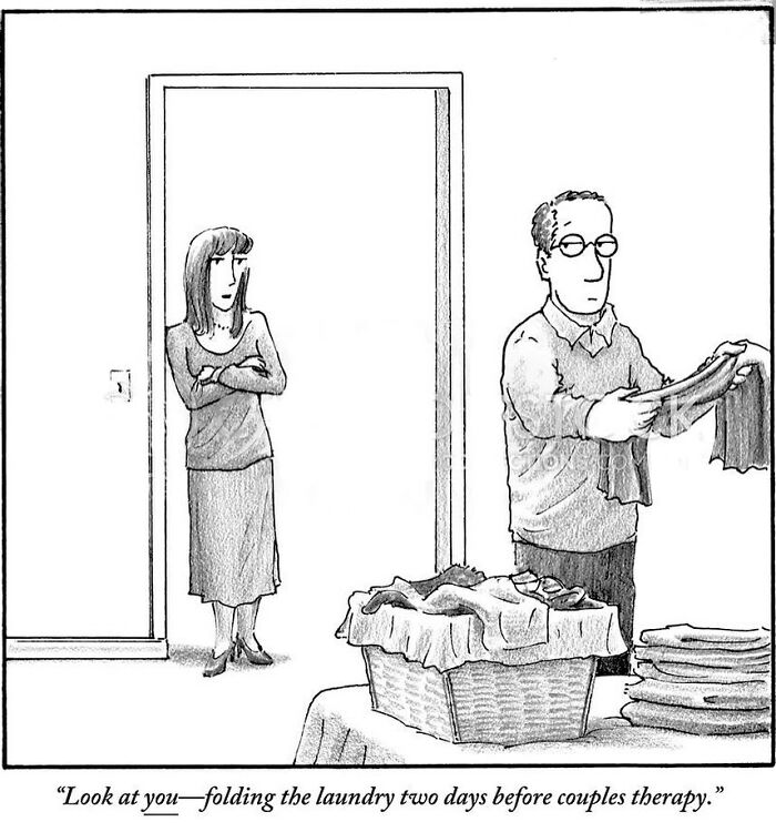 A humorous one-panel comic by Harry Bliss showing a man folding laundry as a woman looks on, with a humorous caption.