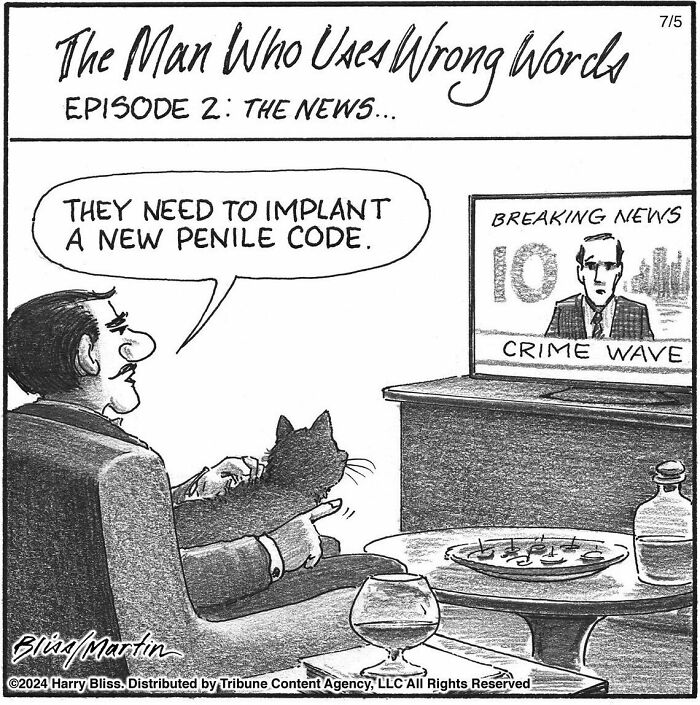 Man watching TV news, holding a cat, humorously misinterprets "penal code"; a funny one-panel comic by Harry Bliss.