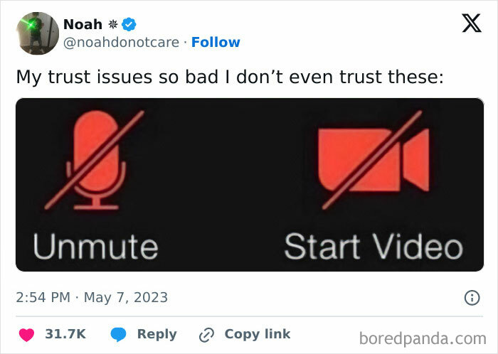 Funny and relatable meme about trust issues with unmute and start video icons crossed out.