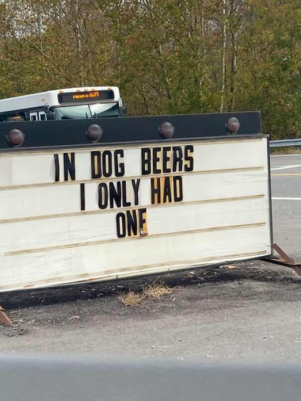Weird sign saying, "In dog beers, I only had one," on a roadside.