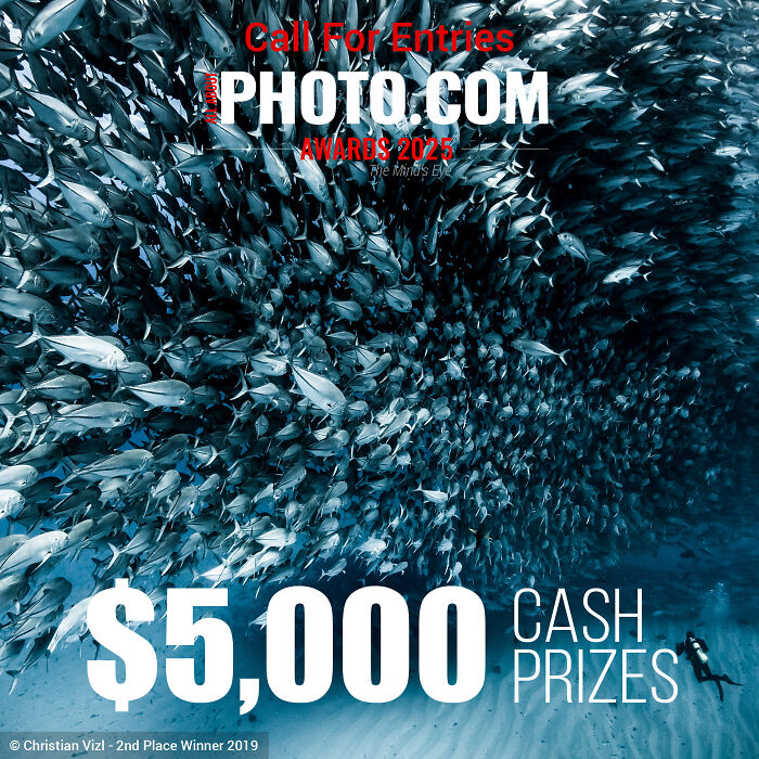 We Invite You To Participate In All About Photo Awards 2025