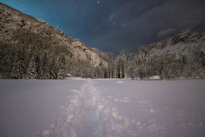 Snowy landscape under a starry night sky, with a path leading through a forest, depicting a serene winter scene.