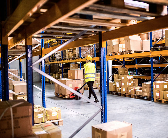 Police Discover Dozens Of Packages Left In The Woods By Delivery Driver Days Before Christmas 