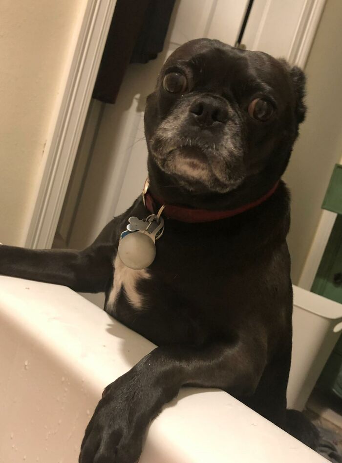 The Way She Looks At Me While I’m Taking A Bath