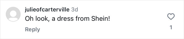 Fans Slam Aubrey Plaza For Wearing A "Dishwasher Dress" To Award Show: "Looks Very Cheap"