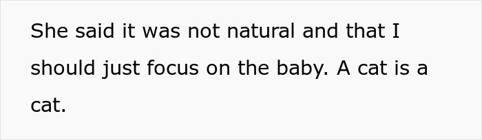 Text message emphasizing focus on baby over cat from aunt-in-law's perspective. Text message emphasizing focus on baby over cat from aunt-in-law's perspective.