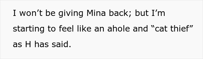 Text excerpt about rehoming a cat and feeling like a "cat thief. Text excerpt about rehoming a cat and feeling like a "cat thief.