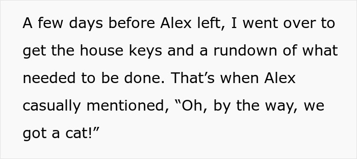 Text exchange about getting house keys, mentioning a cat unexpectedly.