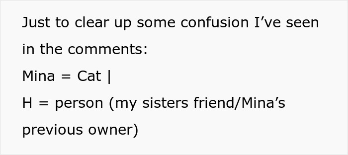 Text explaining confusion about a cat rehoming situation, mentioning Mina the cat and H as the previous owner. Text explaining confusion about a cat rehoming situation, mentioning Mina the cat and H as the previous owner.
