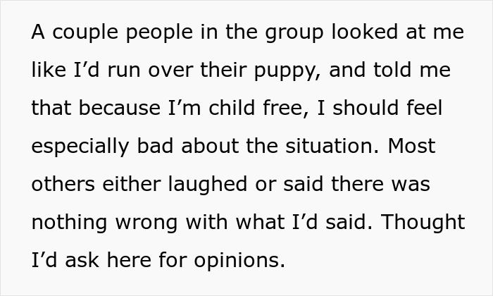 Text about a child-free person's experience and reaction to comments on their perspective about a situation. Text about a child-free person's experience and reaction to comments on their perspective about a situation.