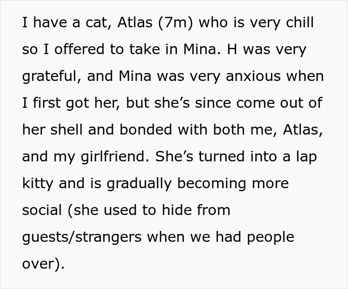 Text detailing a woman's effort to rehome her cat, Mina, as it becomes social. Text detailing a woman's effort to rehome her cat, Mina, as it becomes social.