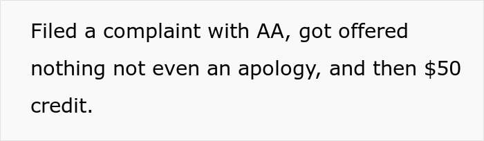 Complaint text about airline response to obese seatmate issue.