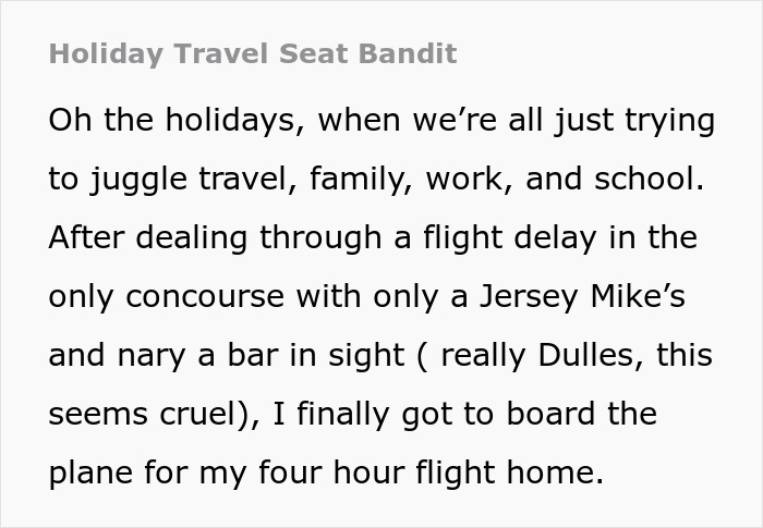 Text about holiday travel seat issues on a flight, dealing with delays and crowded conditions.