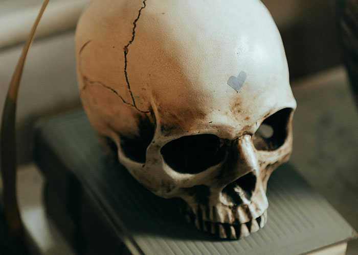 Skull with heart marking on forehead in someone's home, surprising decor choice.