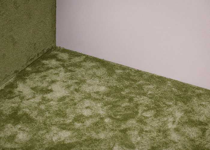 Green carpeted walls and floor in an unusual home interior design.