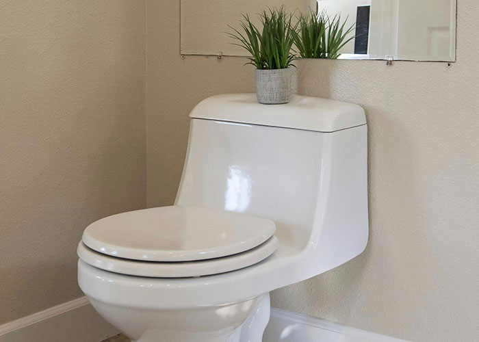 Home surprise: a toilet seat with a flowerpot on top, reflecting an unexpected interior detail.