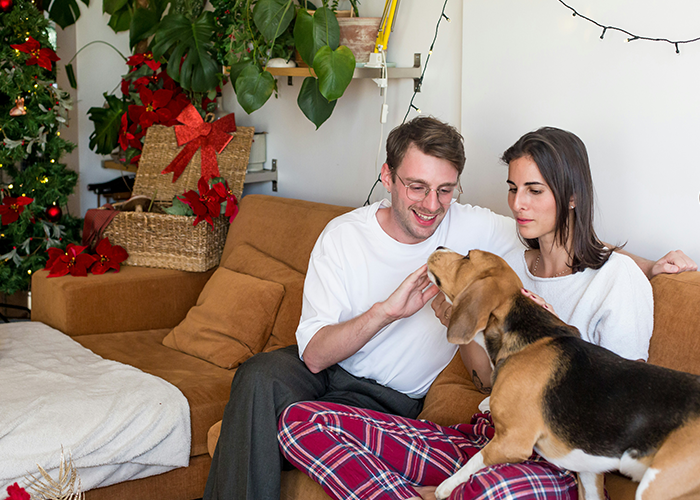 A couple with their dog on a cozy couch, Christmas decorations in the background, reflecting tension in gifting dynamics.