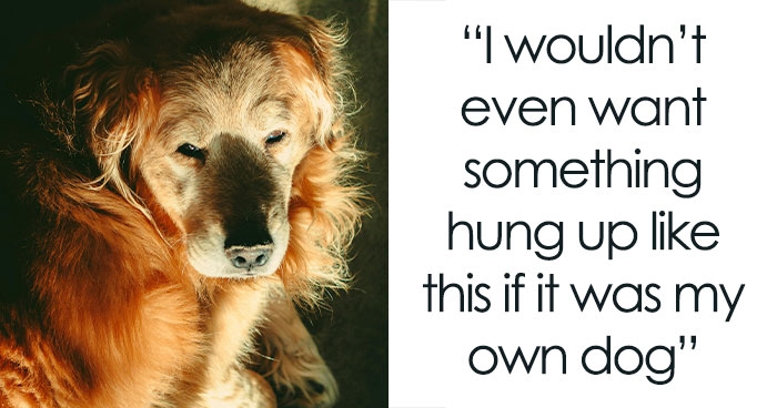 Woman Upset About BF’s Tribute To His Late Dog As It Would Ruin Their Apartment Esthetic