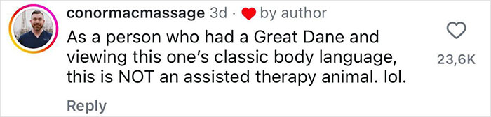 Handler Of Super-Sized Pooch He Brought On Airplane As &ldquo;Emotional Support&rdquo; Gets Reality Check