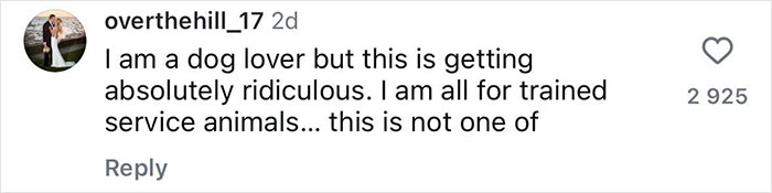 Handler Of Super-Sized Pooch He Brought On Airplane As &ldquo;Emotional Support&rdquo; Gets Reality Check