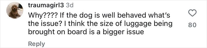 Handler Of Super-Sized Pooch He Brought On Airplane As &ldquo;Emotional Support&rdquo; Gets Reality Check