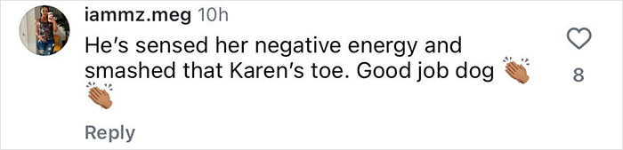 Handler Of Super-Sized Pooch He Brought On Airplane As &ldquo;Emotional Support&rdquo; Gets Reality Check