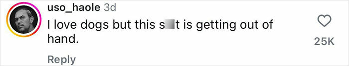 Handler Of Super-Sized Pooch He Brought On Airplane As &ldquo;Emotional Support&rdquo; Gets Reality Check
