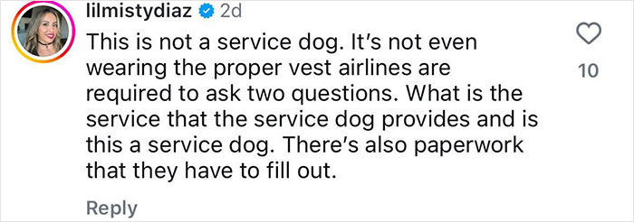 Handler Of Super-Sized Pooch He Brought On Airplane As &ldquo;Emotional Support&rdquo; Gets Reality Check