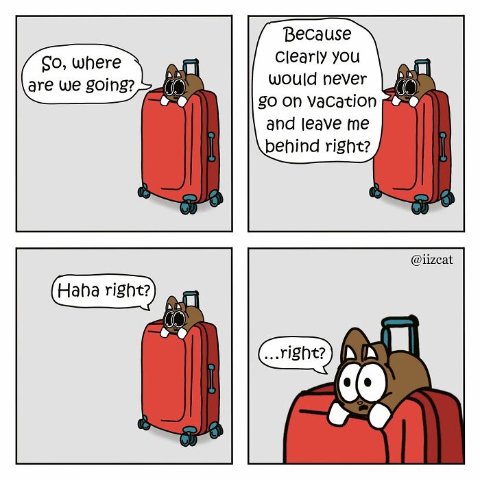 Comic of a cat sitting on a suitcase, humorously questioning its owner about going on vacation.