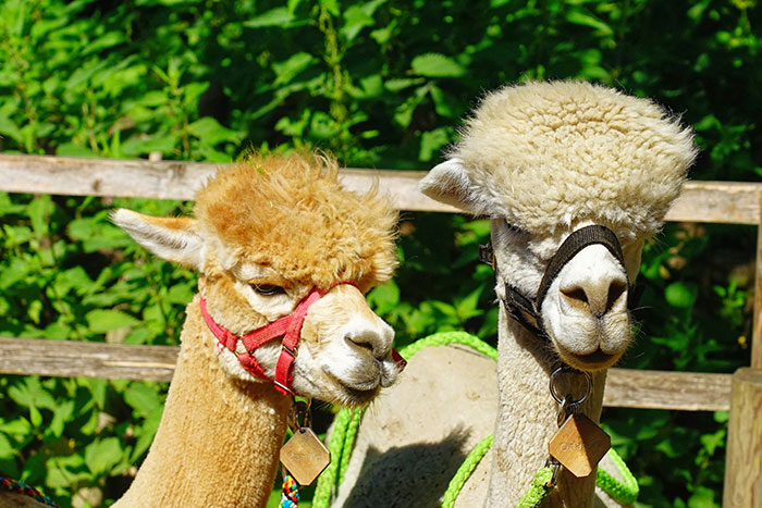 “That Will Haunt Me Till The Day I Die”: 30 Embarrassing Life Moments These People Can’t Forget