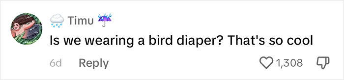 People Online Melt After Seeing This Adorable Pigeon Show Off His Christmas Sweaters