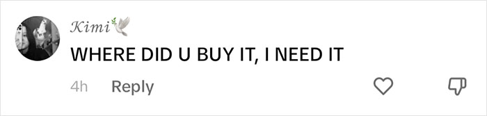 People Online Melt After Seeing This Adorable Pigeon Show Off His Christmas Sweaters