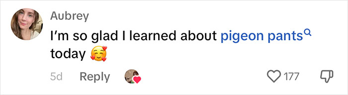 People Online Melt After Seeing This Adorable Pigeon Show Off His Christmas Sweaters