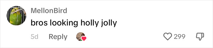 People Online Melt After Seeing This Adorable Pigeon Show Off His Christmas Sweaters