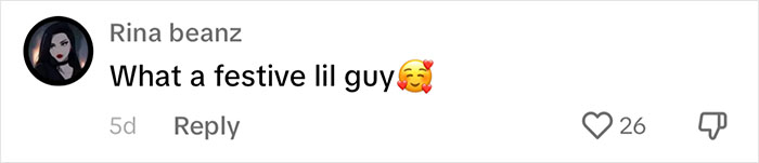 People Online Melt After Seeing This Adorable Pigeon Show Off His Christmas Sweaters