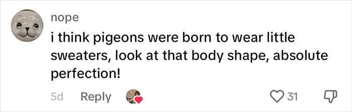 People Online Melt After Seeing This Adorable Pigeon Show Off His Christmas Sweaters