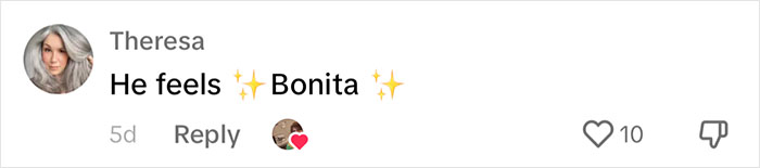 People Online Melt After Seeing This Adorable Pigeon Show Off His Christmas Sweaters