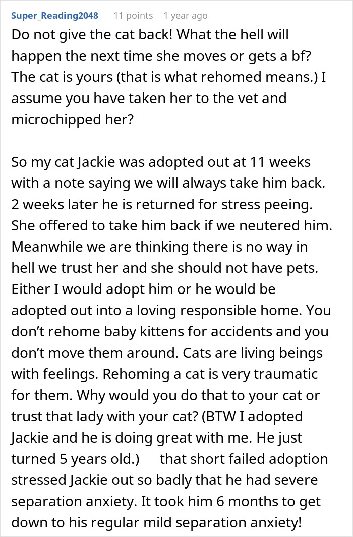 Text conversation about rehoming a cat and considering the implications of getting it back. Text conversation about rehoming a cat and considering the implications of getting it back.