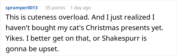 A social media post humorously mentions forgetting to buy Christmas gifts for a cat named Shakespurr.