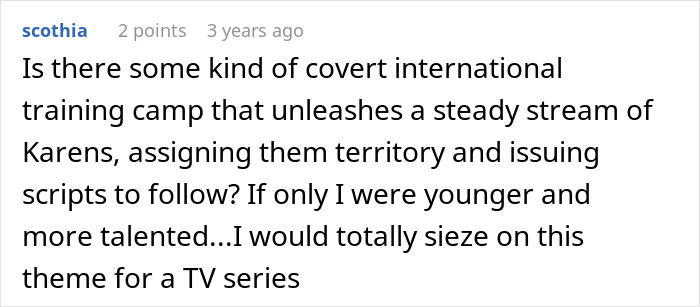 Text comment about a covert training camp for &ldquo;Karens,&rdquo; suggesting a humorous TV series idea.