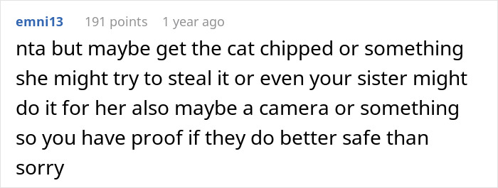 Text comment suggesting microchipping a rehomed cat and using a camera for proof to prevent theft. Text comment suggesting microchipping a rehomed cat and using a camera for proof to prevent theft.