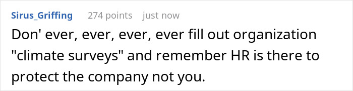 Employee comments on HR and climate surveys amid YesMadam controversy.