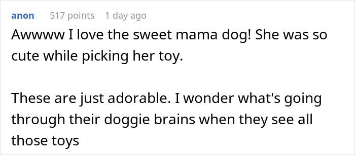 Comments about dogs picking Christmas gifts and toys.