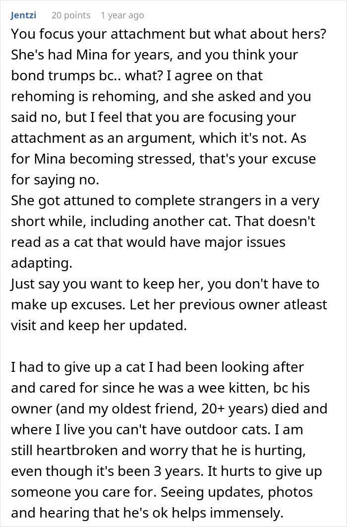 Comment discussing the rehoming of a cat and attachment issues, emphasizing the importance of updates. Comment discussing the rehoming of a cat and attachment issues, emphasizing the importance of updates.