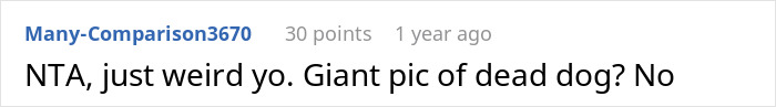 Reddit comment criticizing idea of large photo of deceased dog. Reddit comment criticizing idea of large photo of deceased dog.