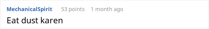 Reddit comment saying "Eat dust Karen," highlighting petty revenge in a discussion.