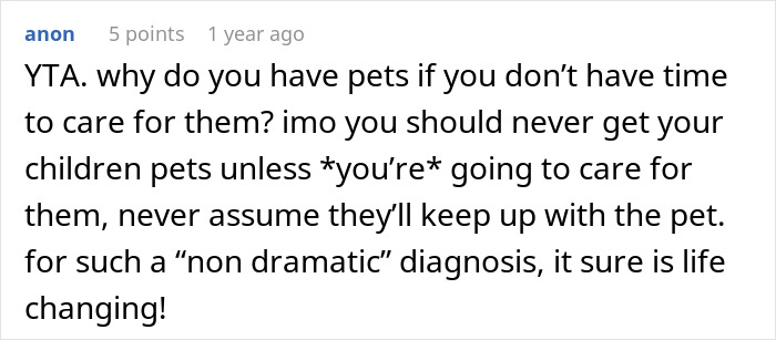 Reddit comment criticizing a parent about pet care responsibilities and a child's illness.