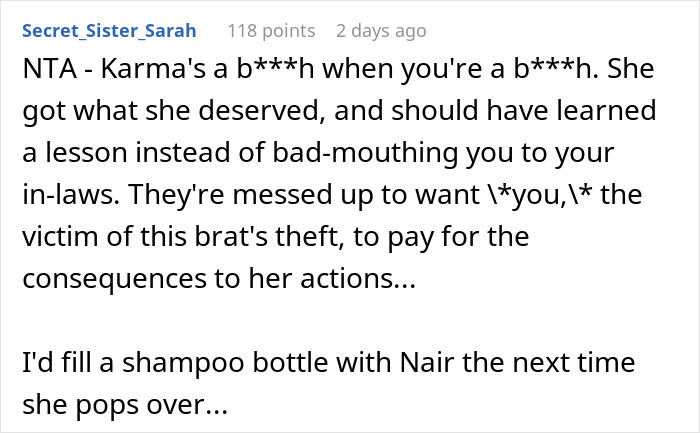 Reddit comment criticizing a teen's actions after using SIL's products without permission, mentioning consequences. Reddit comment criticizing a teen's actions after using SIL's products without permission, mentioning consequences.