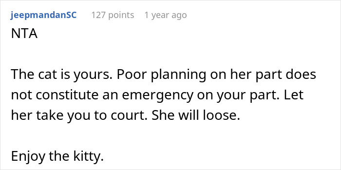 Text comment about rehoming a cat and legal rights, emphasizing ownership and planning. Text comment about rehoming a cat and legal rights, emphasizing ownership and planning.