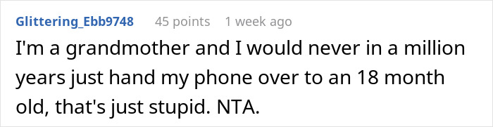 Reddit comment criticizing a grandmother giving a phone to a toddler. Reddit comment criticizing a grandmother giving a phone to a toddler.